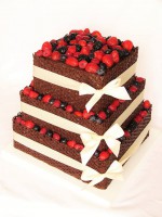 /album/fotogalerie-dorty/a13445421-1249198335091977-2887799383560023133-n-jpg/