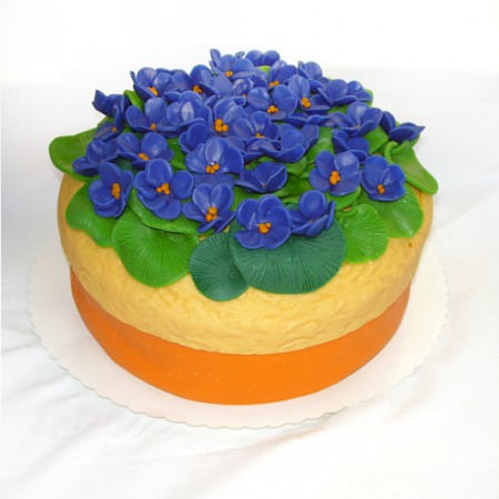 Dort fialky - průměr 22 cm, váha 3 kg